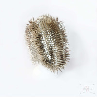 SPIKES FOR ETERNITY SPIKES FOR ETERNITY