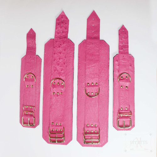 CONJUNTO RESTRICCION AVESTRUZ