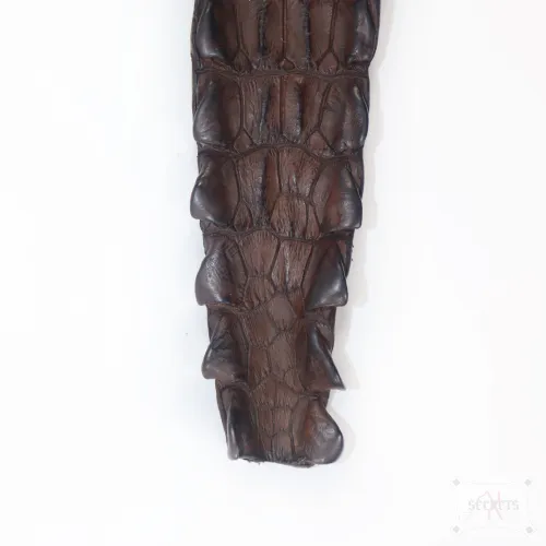 Pala BDSM 'Miss Eva' – Auténtica Cola de Cocodrilo y Madera de Nogal Pala BDSM 'Miss Eva' – Auténtica Cola de Cocodrilo y Madera de Nogal