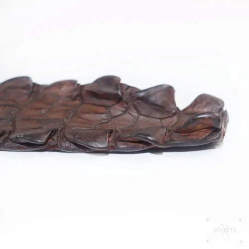 Pala BDSM 'Miss Eva' – Auténtica Cola de Cocodrilo y Madera de Nogal Pala BDSM 'Miss Eva' – Auténtica Cola de Cocodrilo y Madera de Nogal