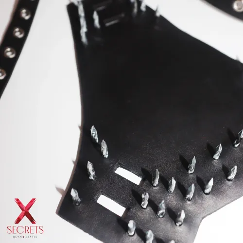 ARNES STRAP-ON DE CUERO MODULAR CON ESCUDOS MASOQUISTAS DE PINCHOS (20mm) ARNES STRAP-ON DE CUERO MODULAR CON ESCUDOS MASOQUISTAS DE PINCHOS (20mm)